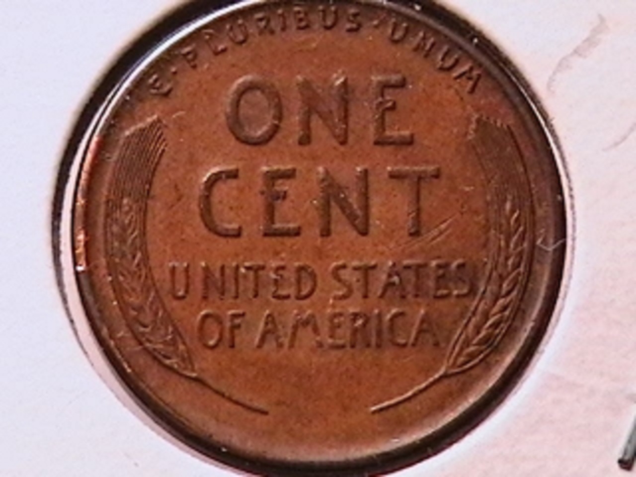 51c.jpg