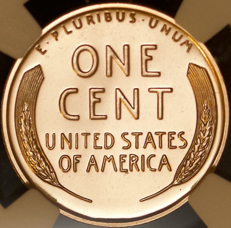 52241495691_53ef37597f_c.jpg