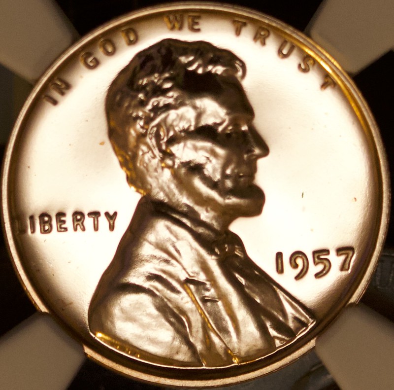 52241985960_5cc69b9666_c.jpg