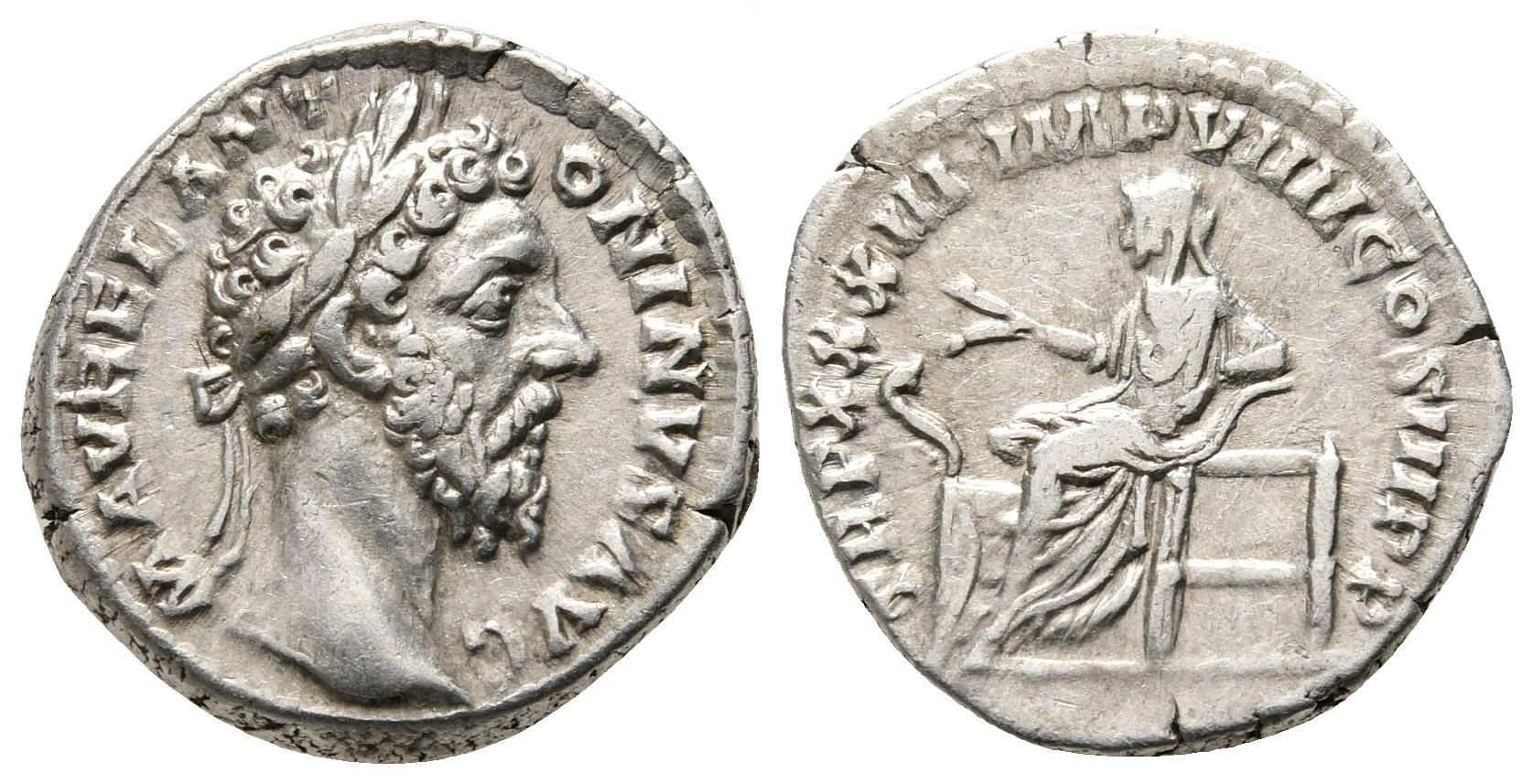 523164.jpg