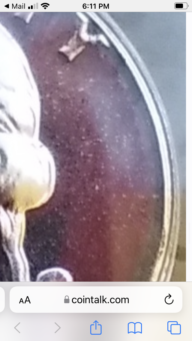 52A917A4-F137-40C7-919E-B29B0C3FAFAA.png