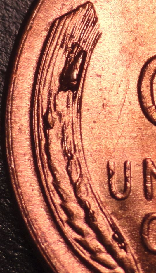 53 close up.JPG