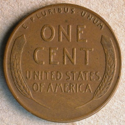 53251955.jpg