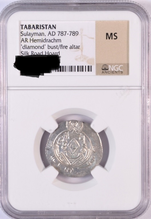 53386490.jpg