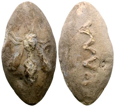 5374127.m.jpg