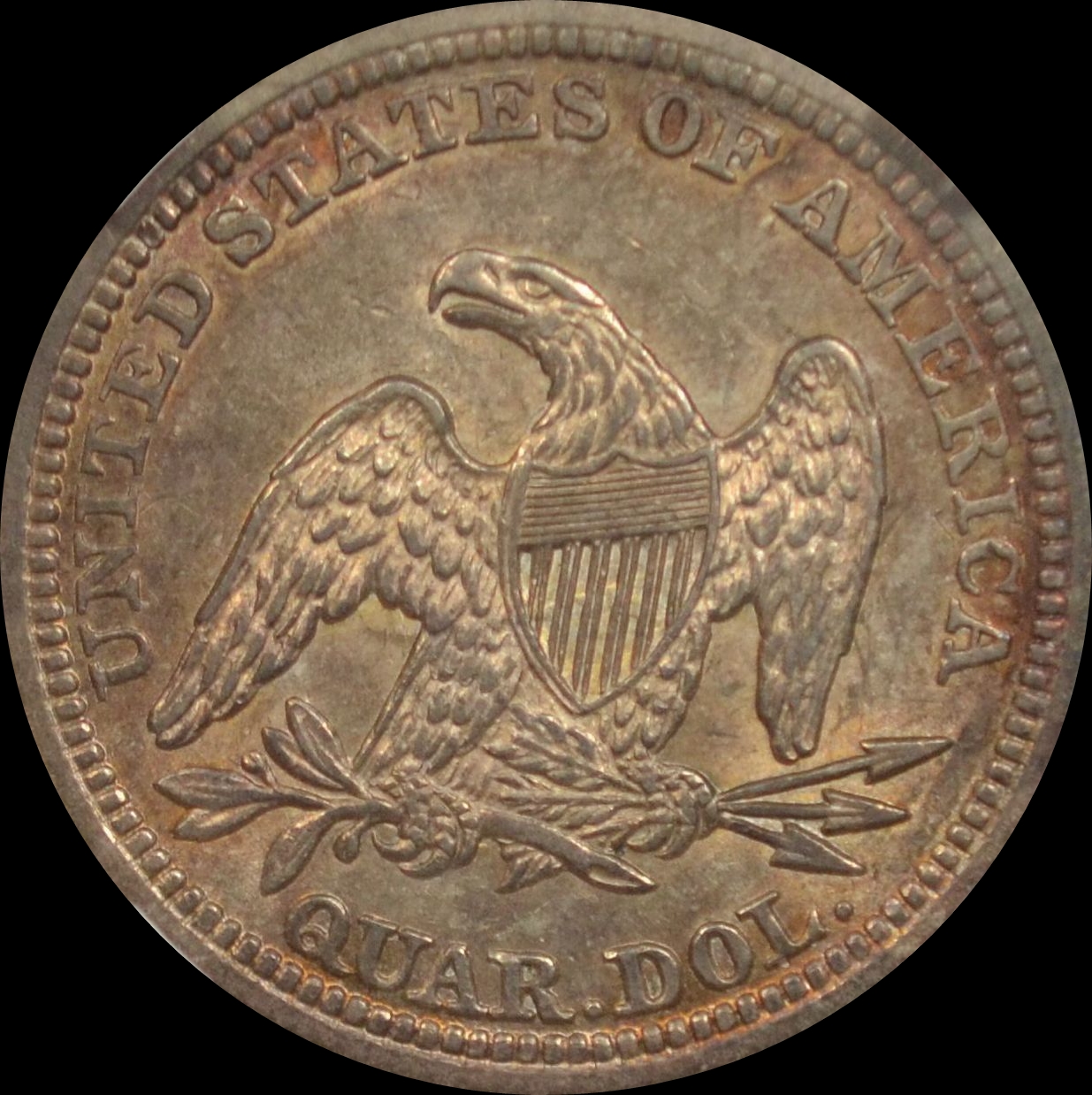 54 R.JPG