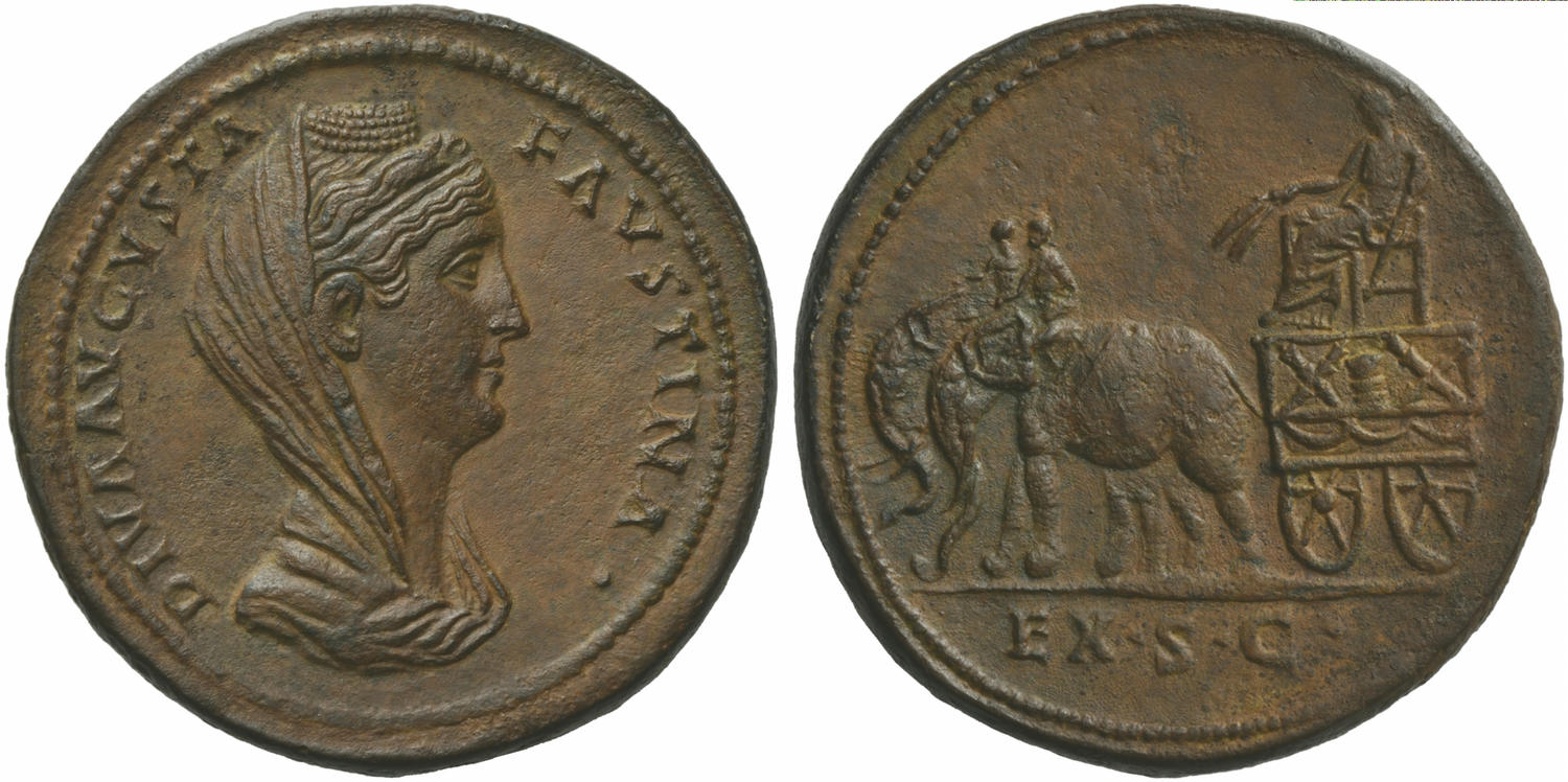 5419202.jpg