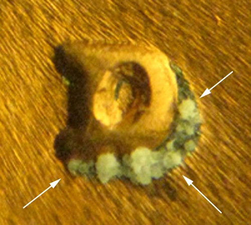 54270411.jpg