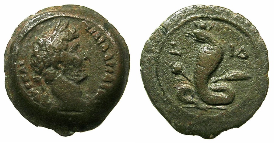 543 P Hadrian Emmett1170.jpg