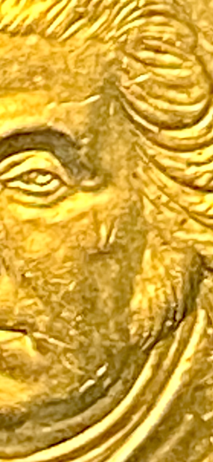 54367675-CAC1-4145-A79B-B053B03AB99B.jpeg
