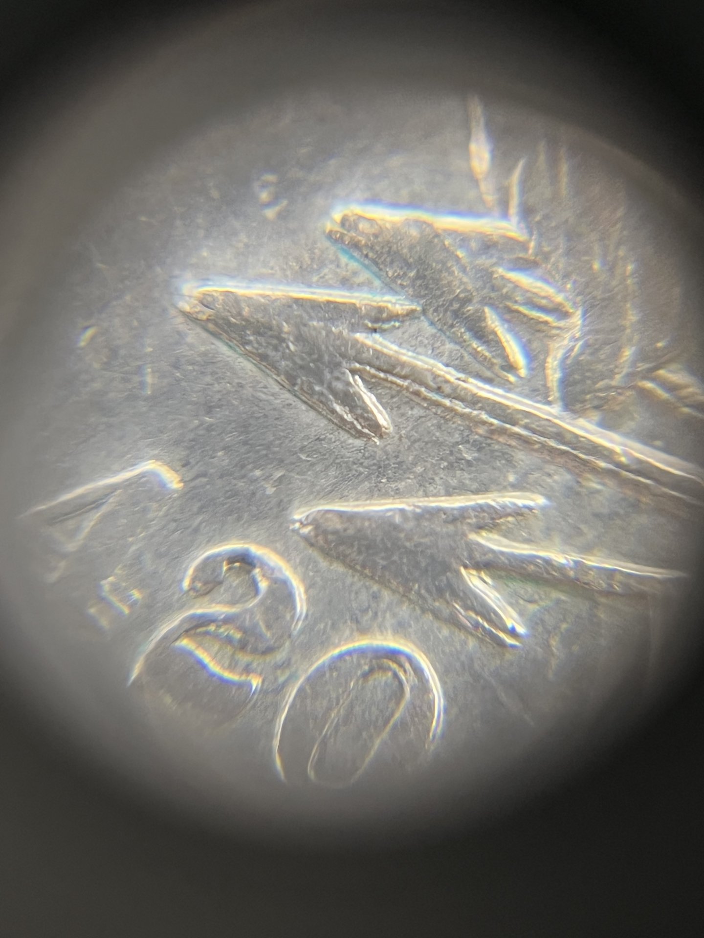 54E0FEEF-BE29-420B-AB40-AAB15885A1C3.jpeg