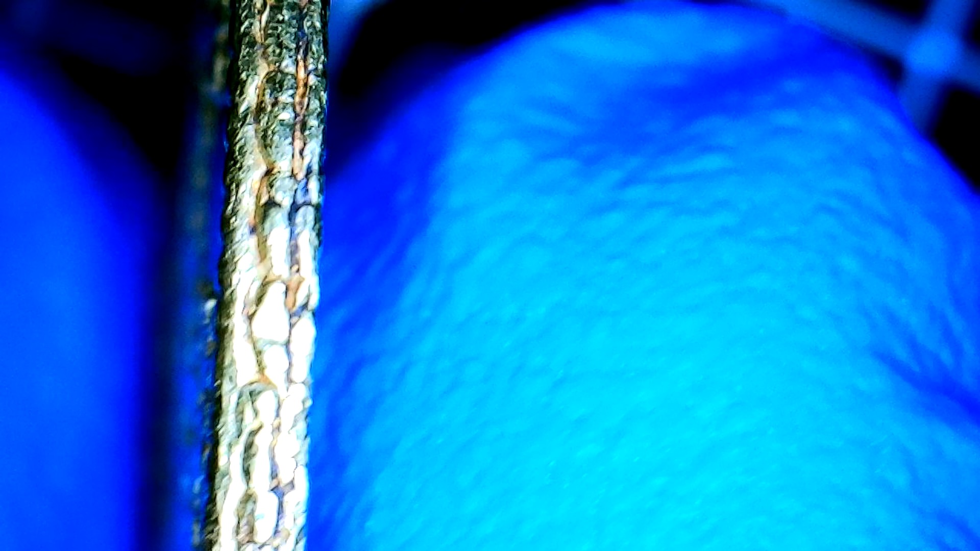 54ED7D65-E4B8-4FC6-9939-72031BA8CDB1.jpeg