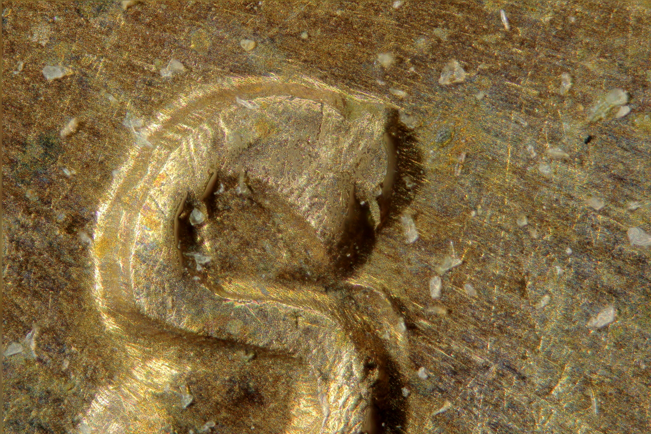 54S RPM4 20X_0_1.JPG