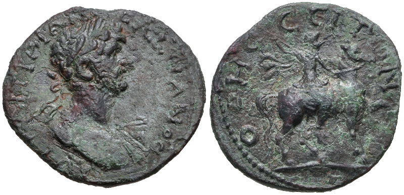 550 P Hadrian RPC769.jpg