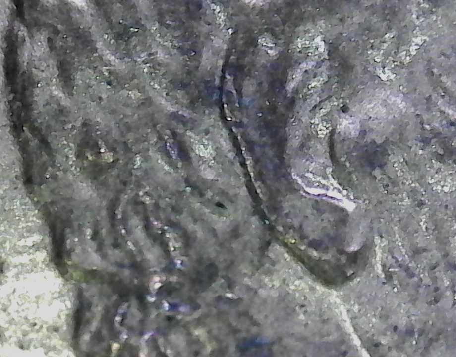 556.jpg