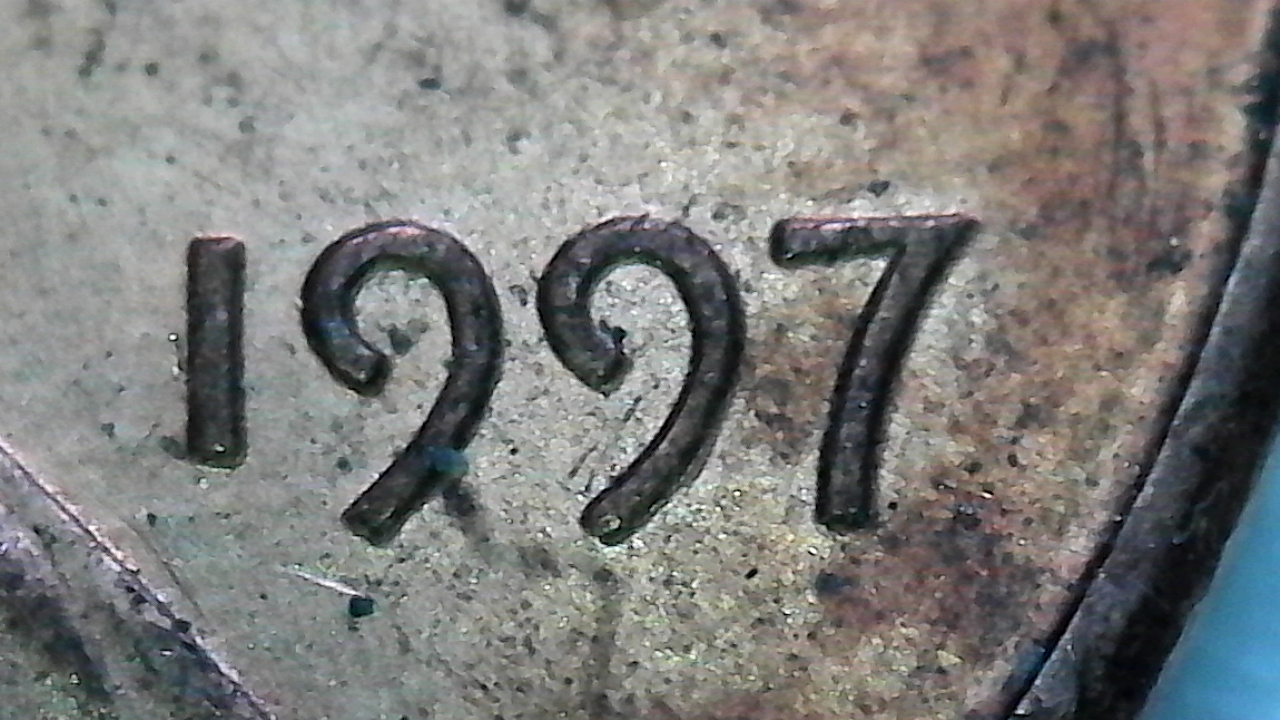 558.jpg