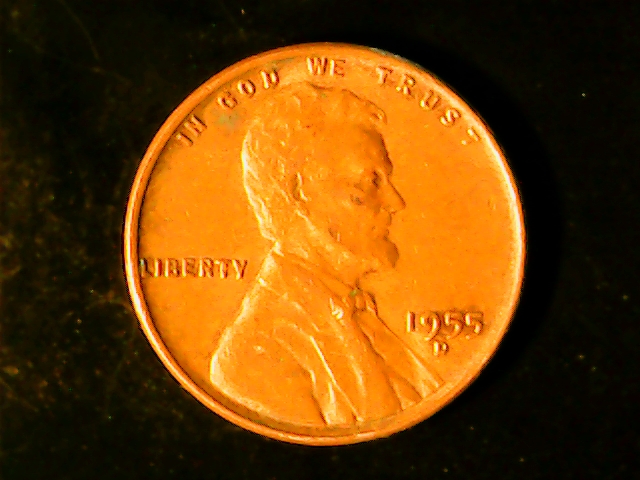 55d.jpg