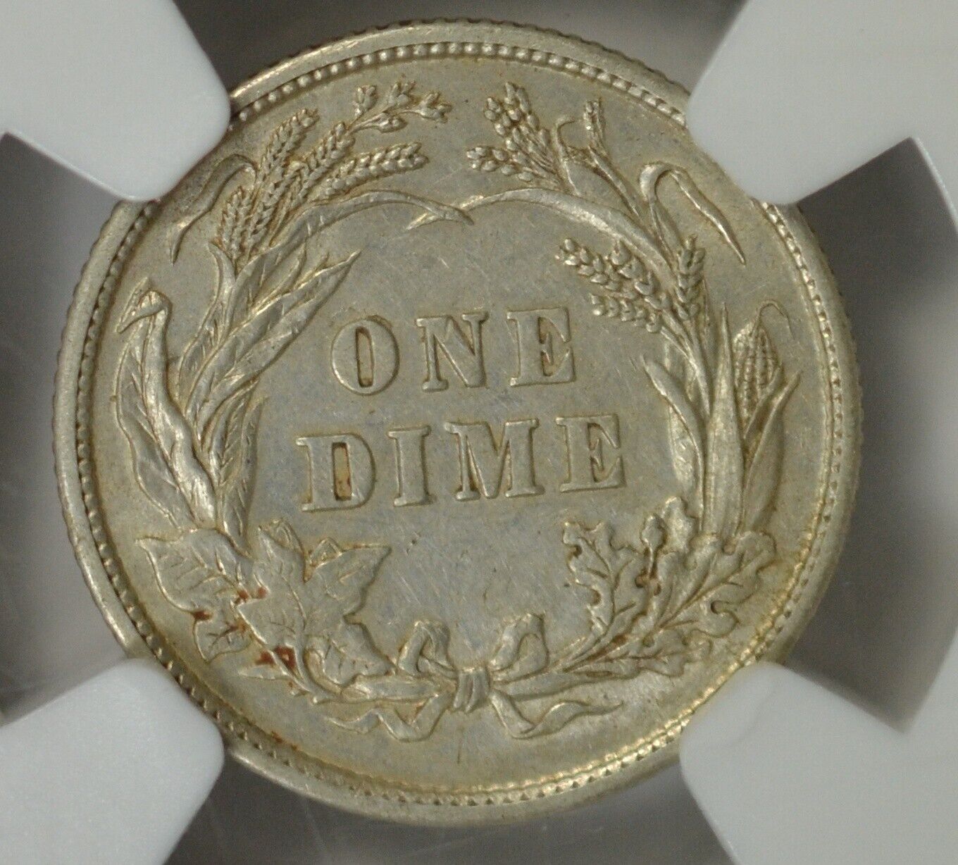 55r.jpg