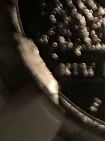56023FE5-D043-45E2-9F78-17F2427B81BA.jpeg