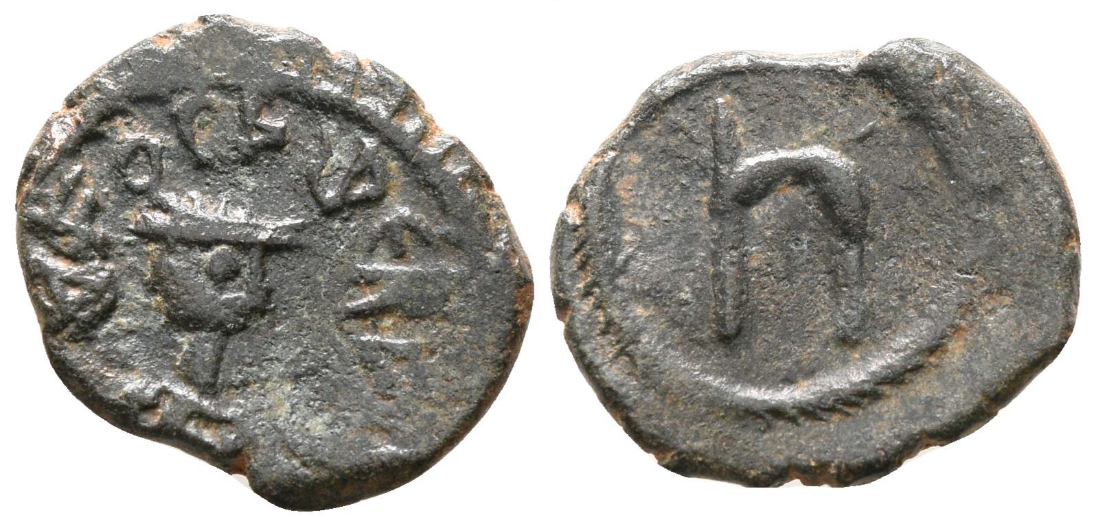 563169.jpg