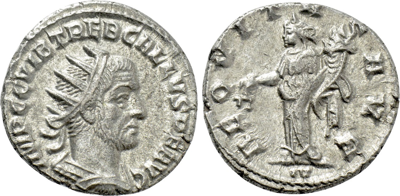 5631788.jpg