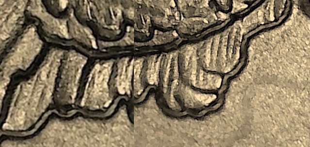 566.jpg