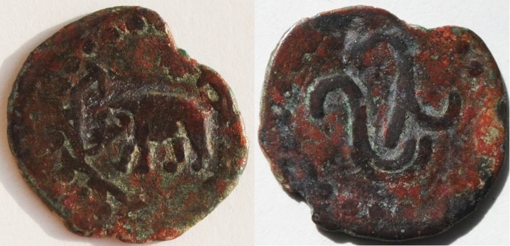5676 Ustrus.jpg