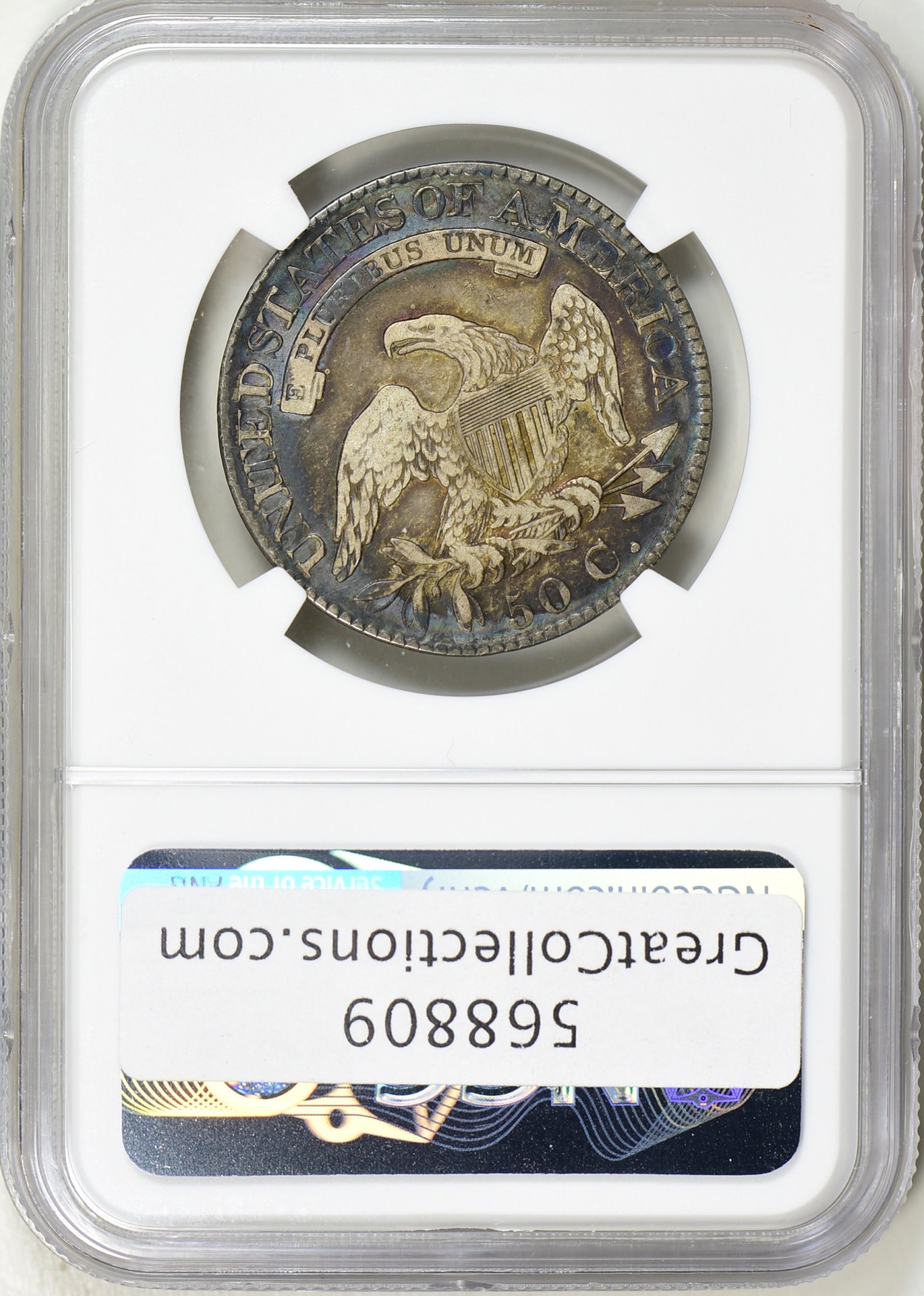 568809-2.jpg