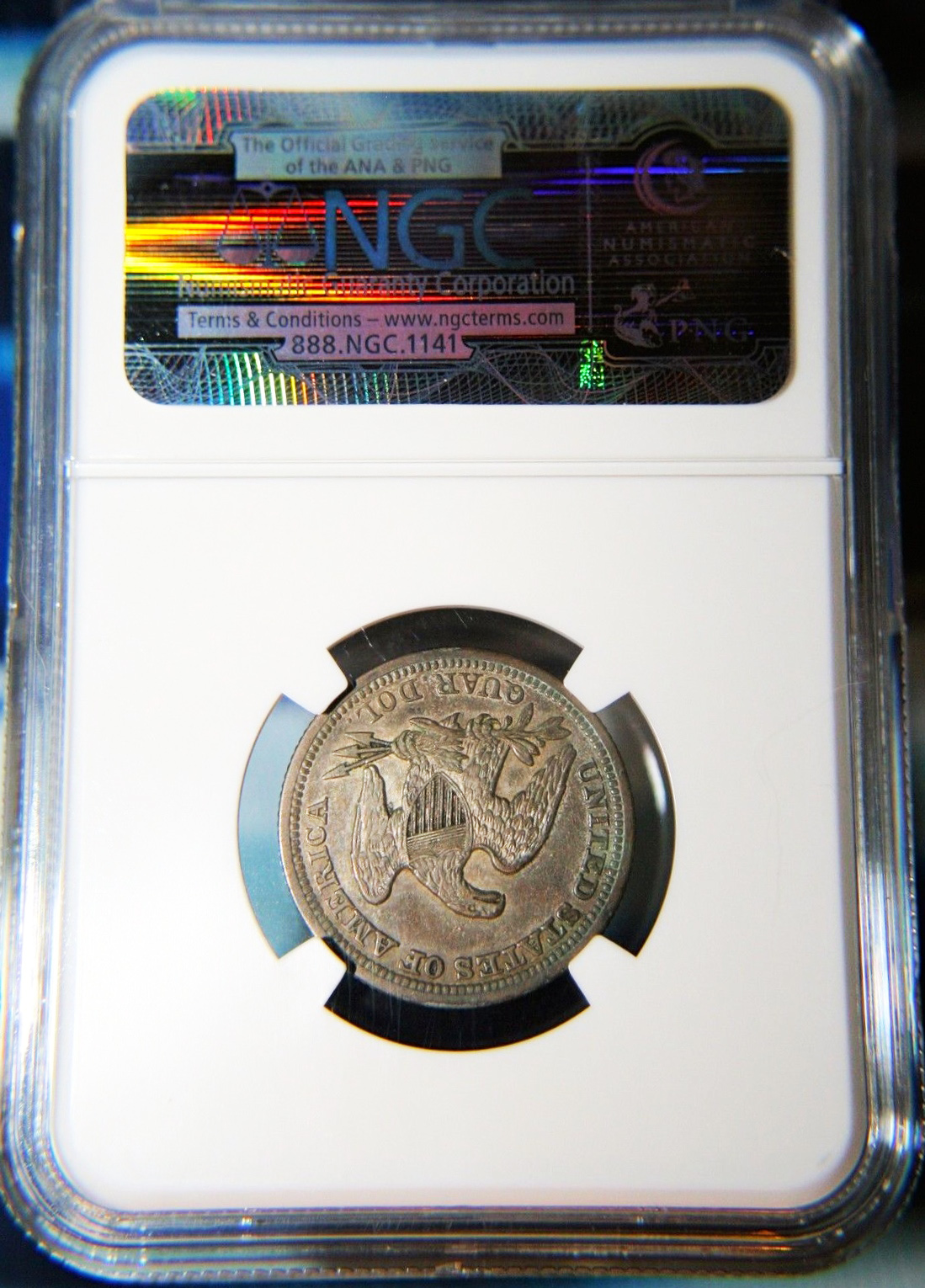 56d.jpg