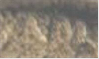 56wing.JPG