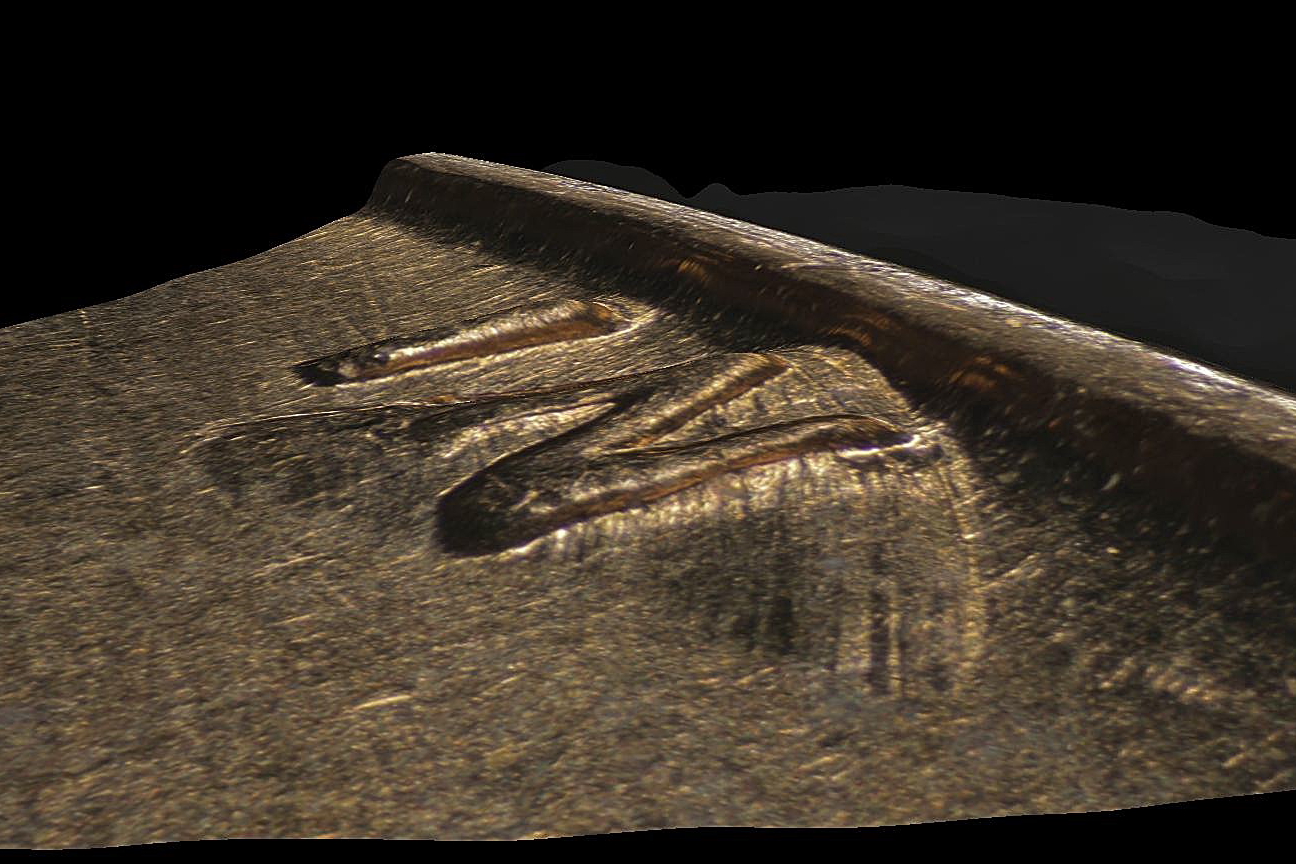 57D IN Gouge_3_1.JPG
