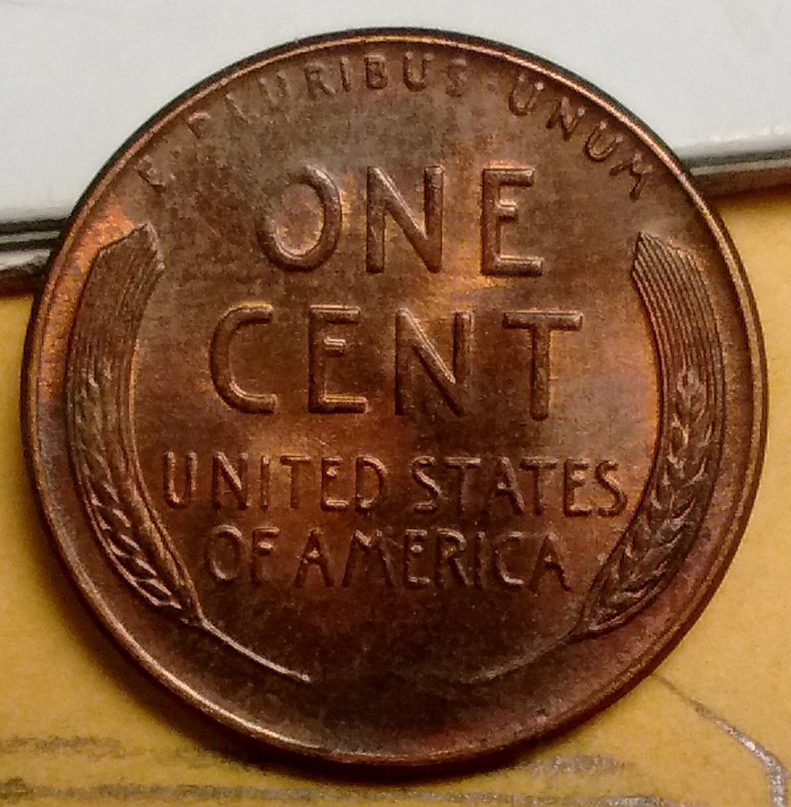 58 d rev toned.jpg