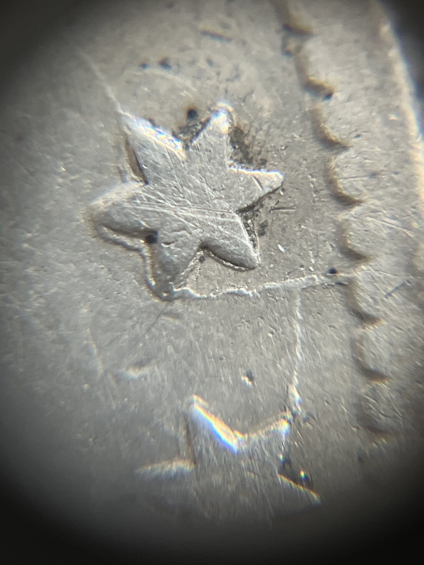 5808D00C-0DC2-4235-915D-734656552114.jpeg