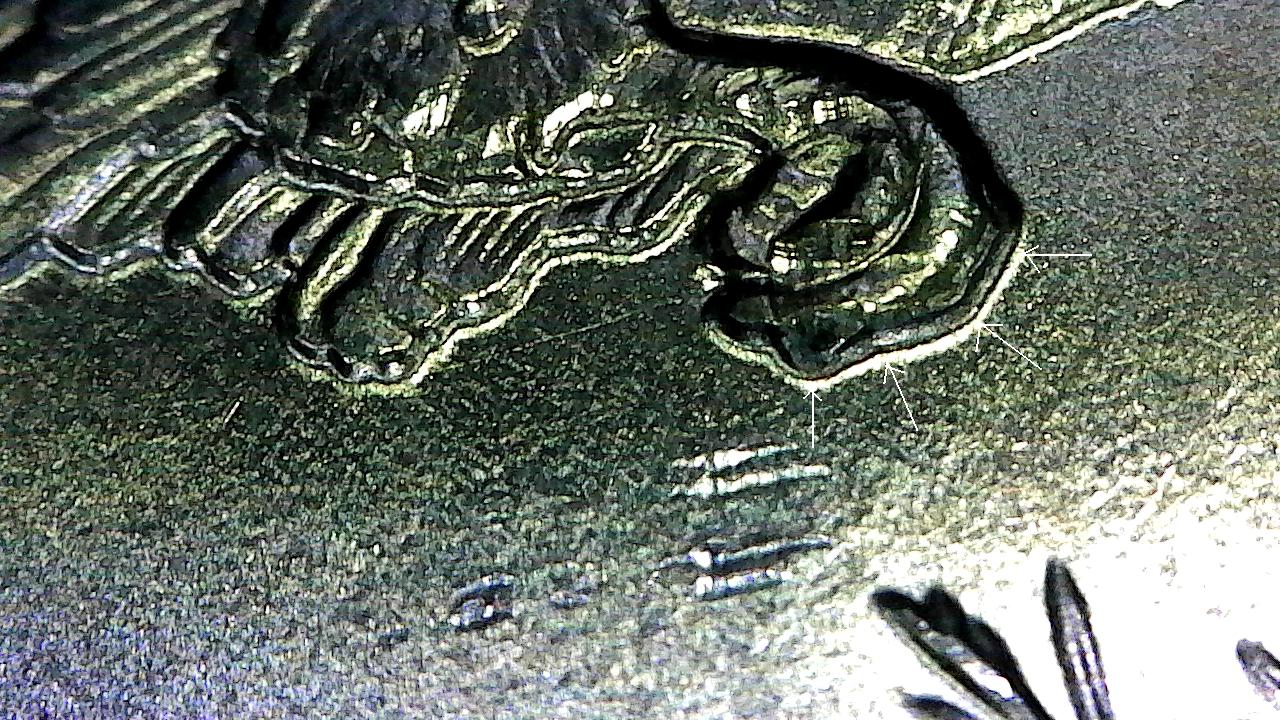 583.jpg