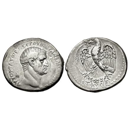 #585-Galba240_1.jpg