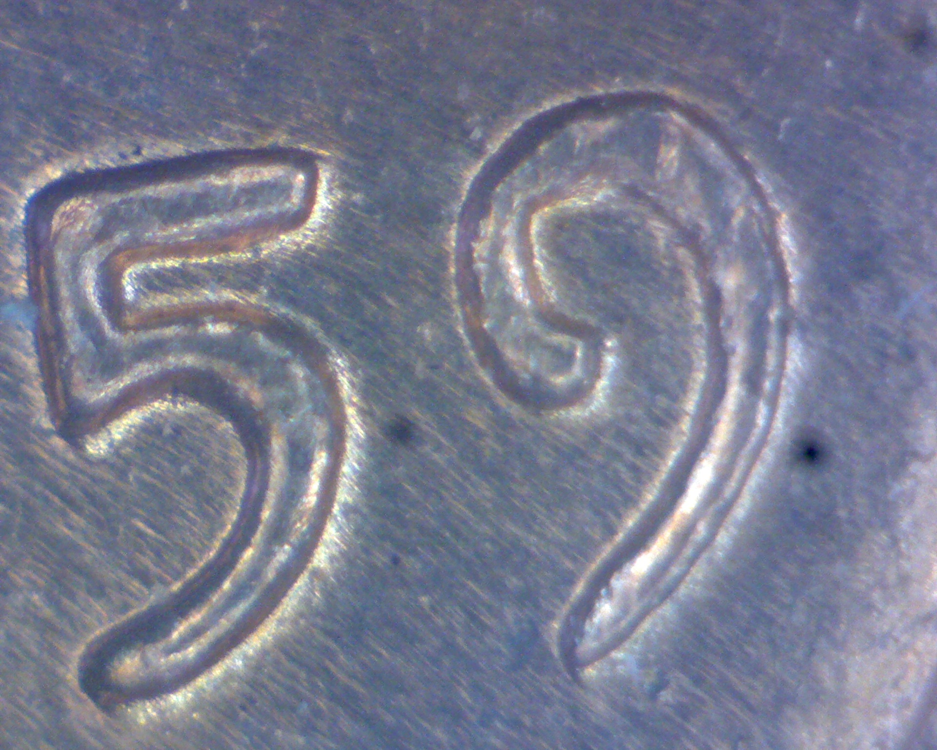 59-59.jpg