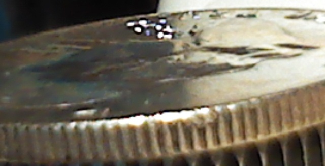 59 franlin cud reeding.jpg