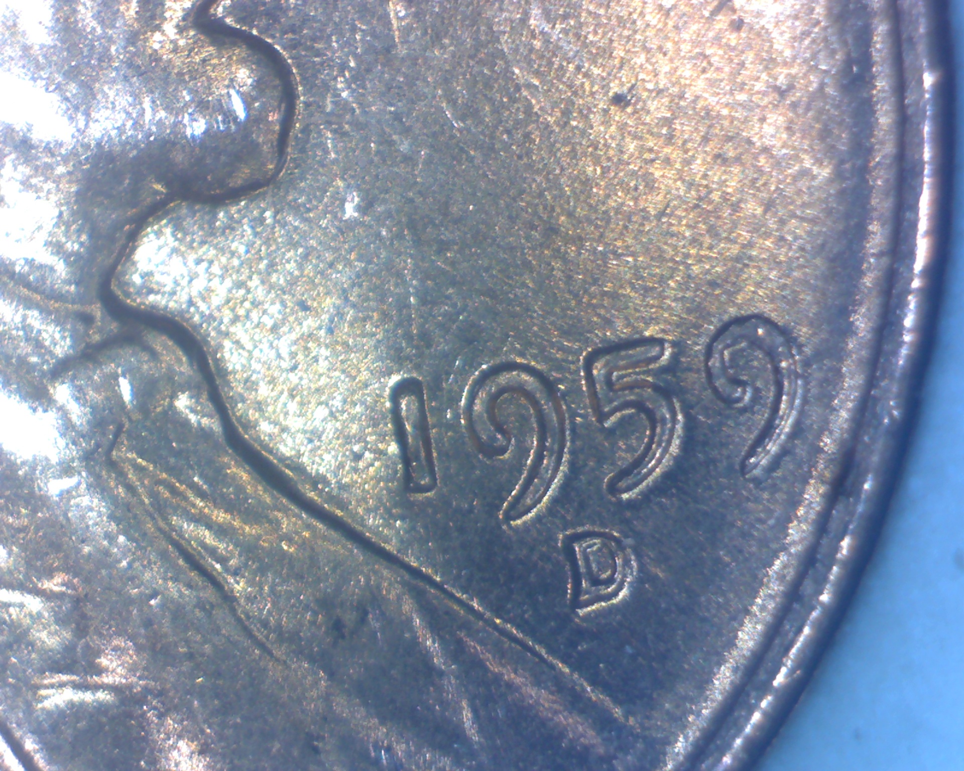 59.jpg