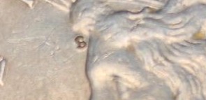590456268~2.jpg
