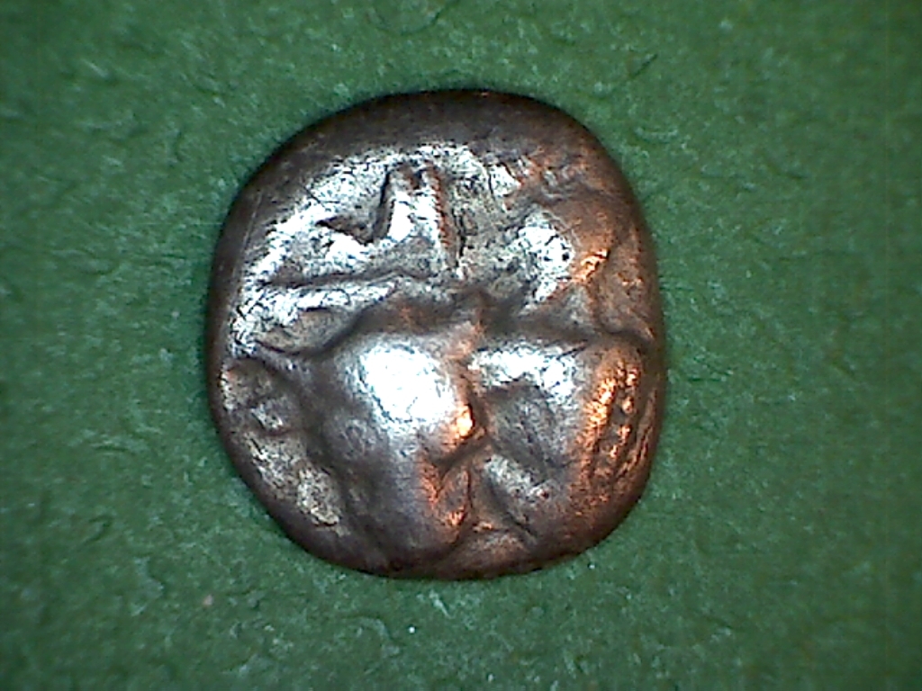 593.jpg