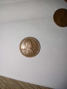 595.jpg