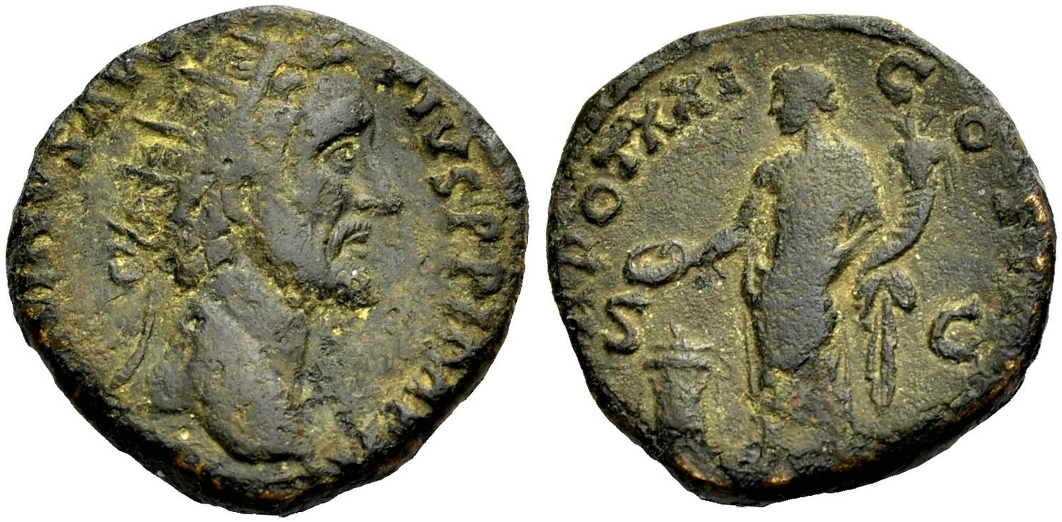 5962804.jpg