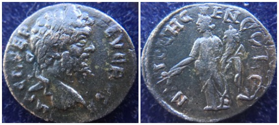 5978 5979.jpg