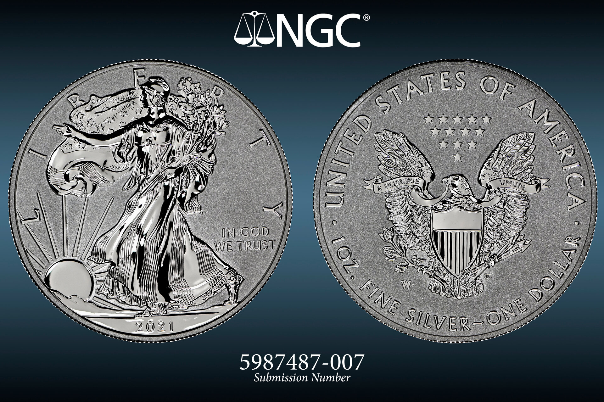 5987487-007v.jpg