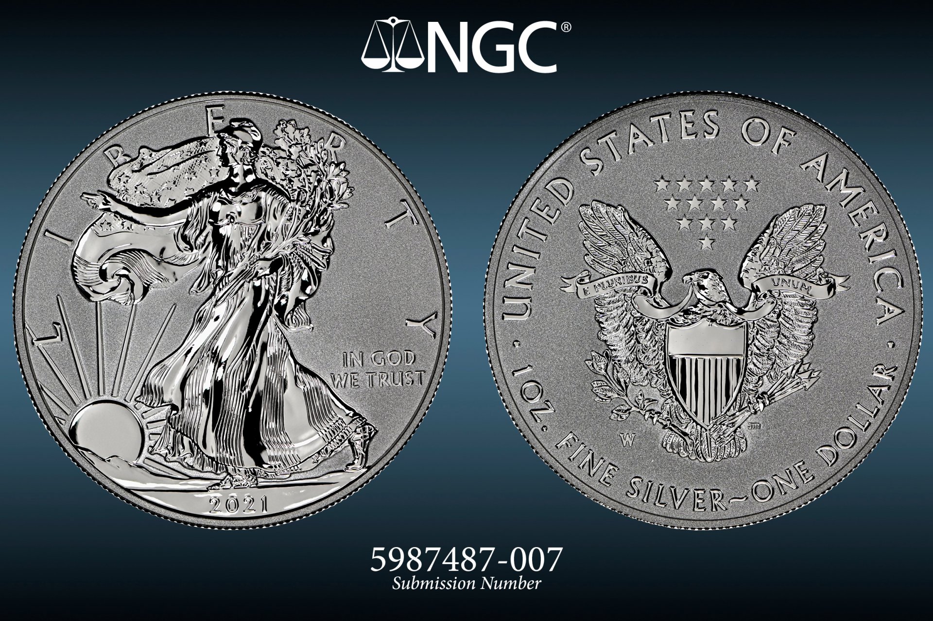 5987487-007v.jpg