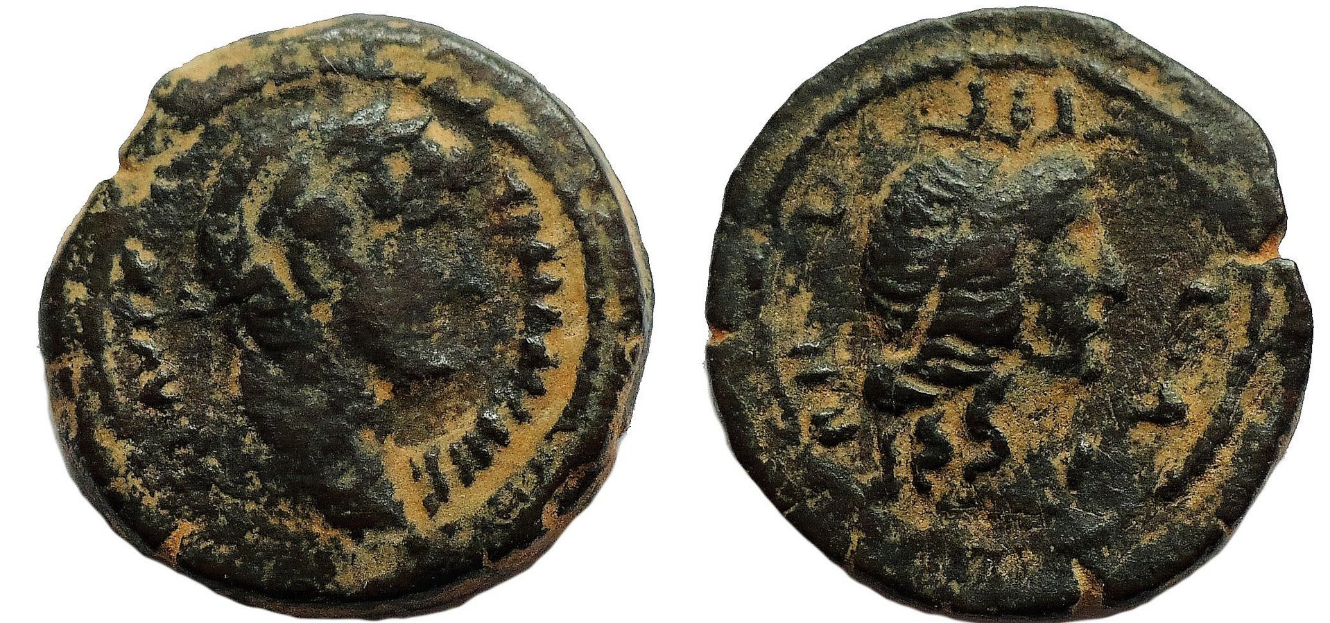599 P Hadrian Emmett1231.JPG