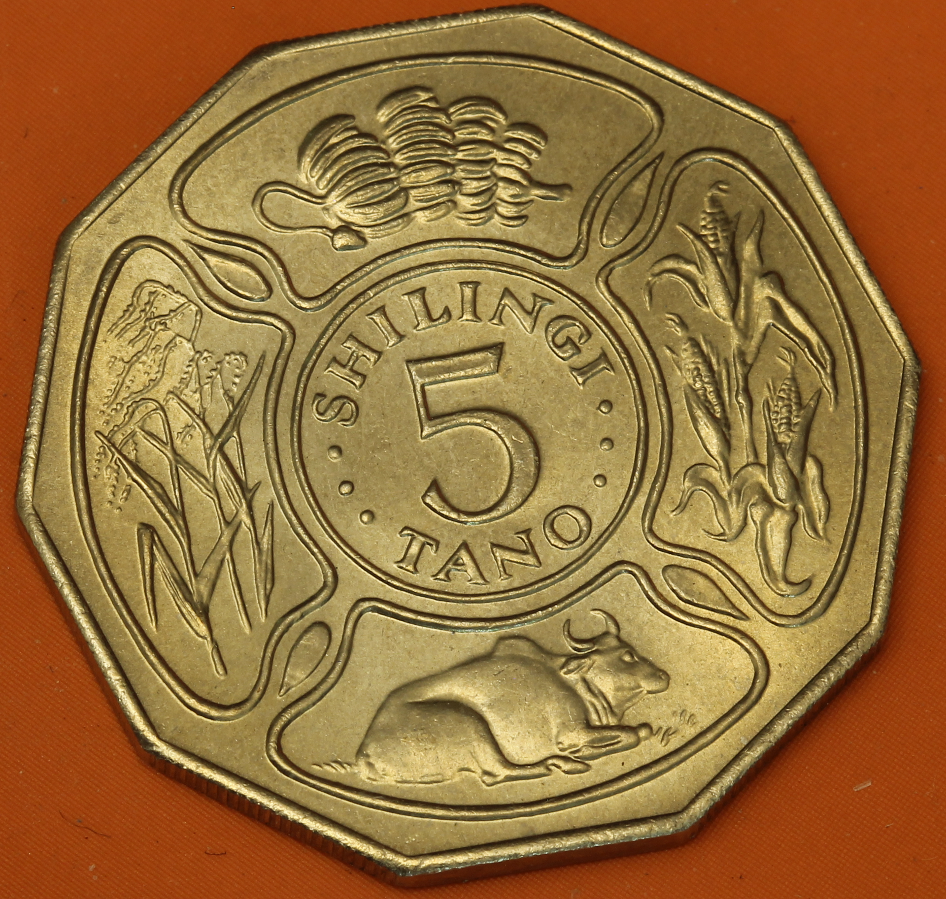 5_shillings_tanzania_1971_r.png