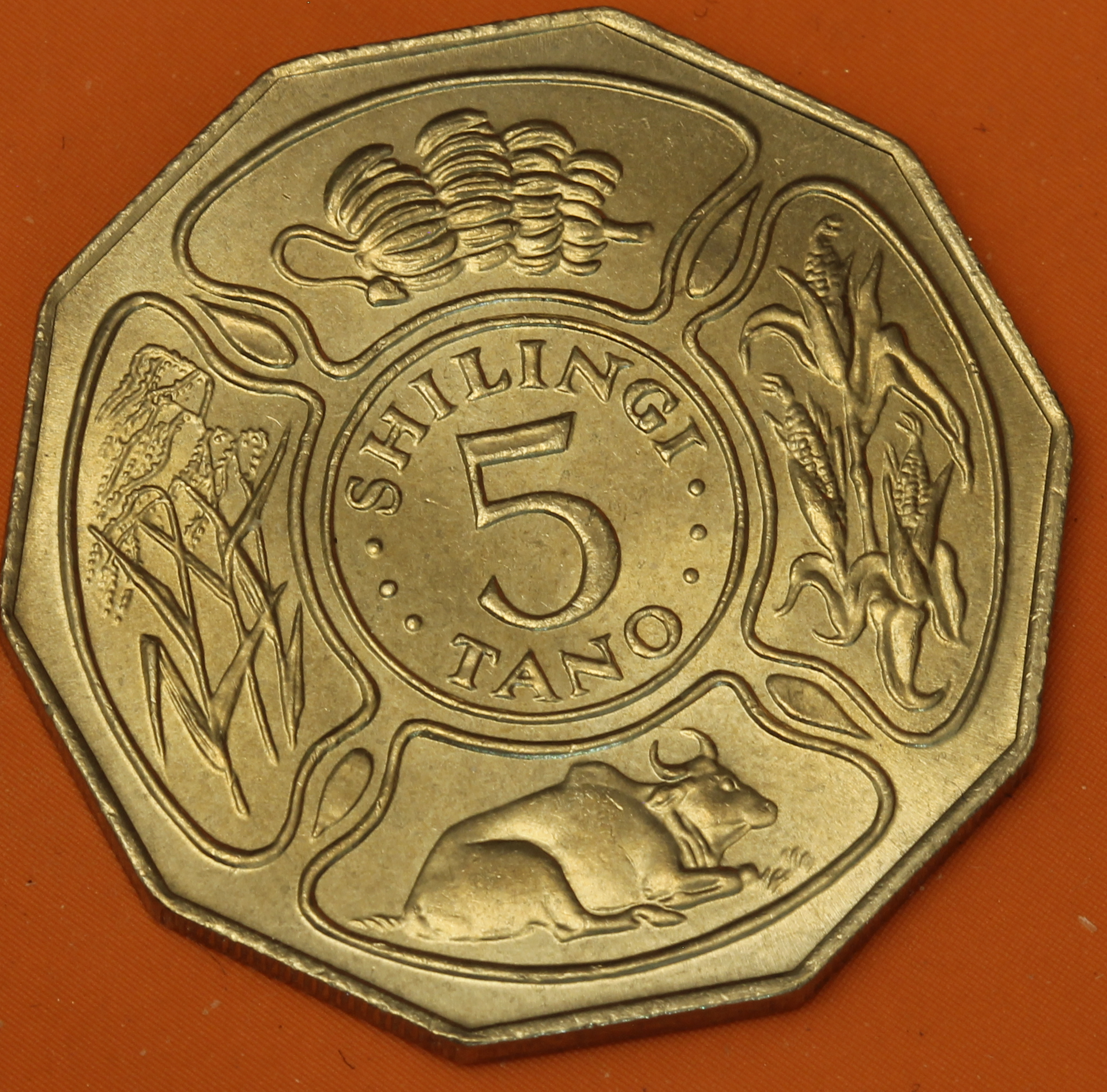 5_shillings_tanzania_1972_r.png
