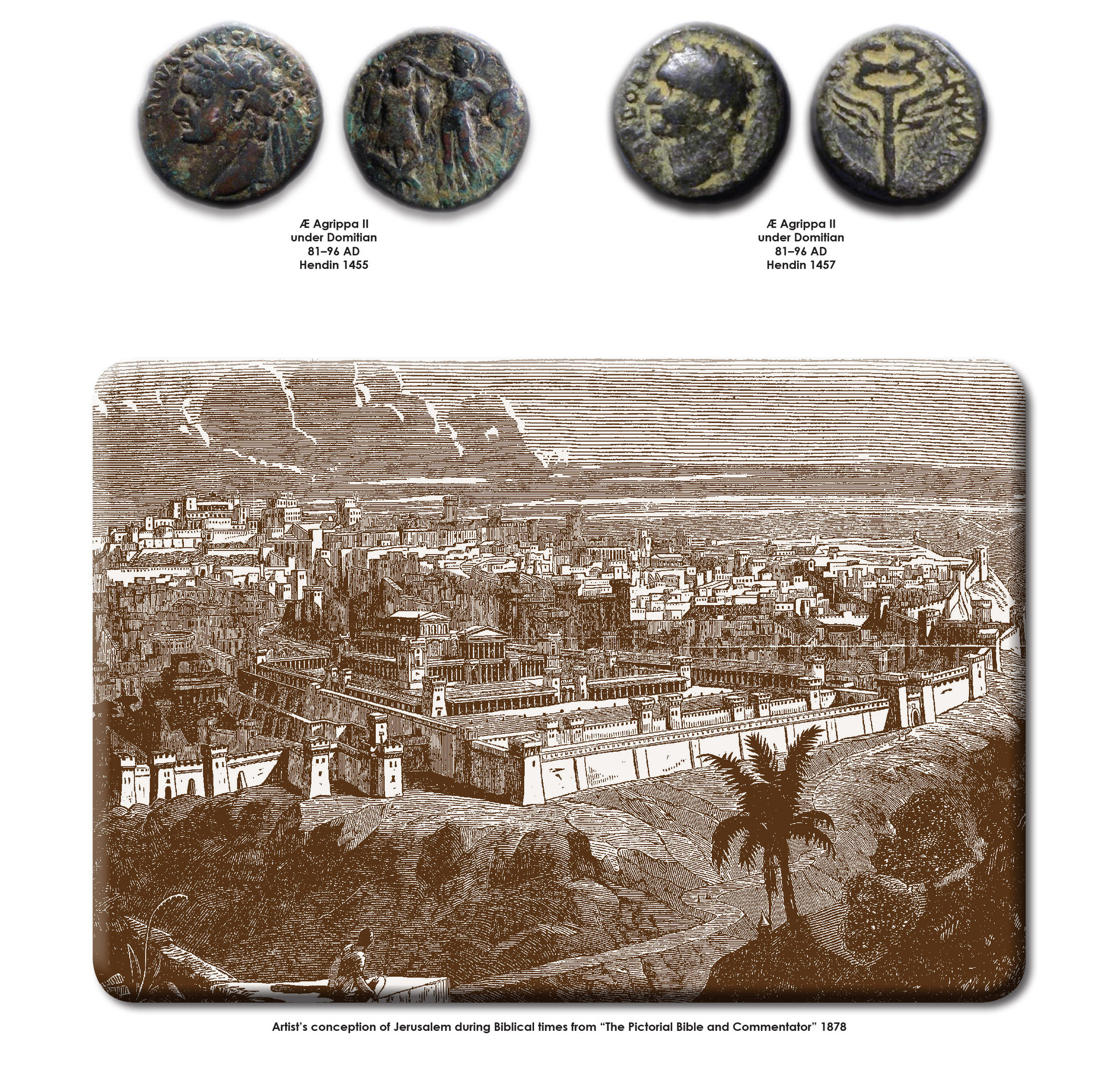 5a_AGRIPPA_poster.jpg