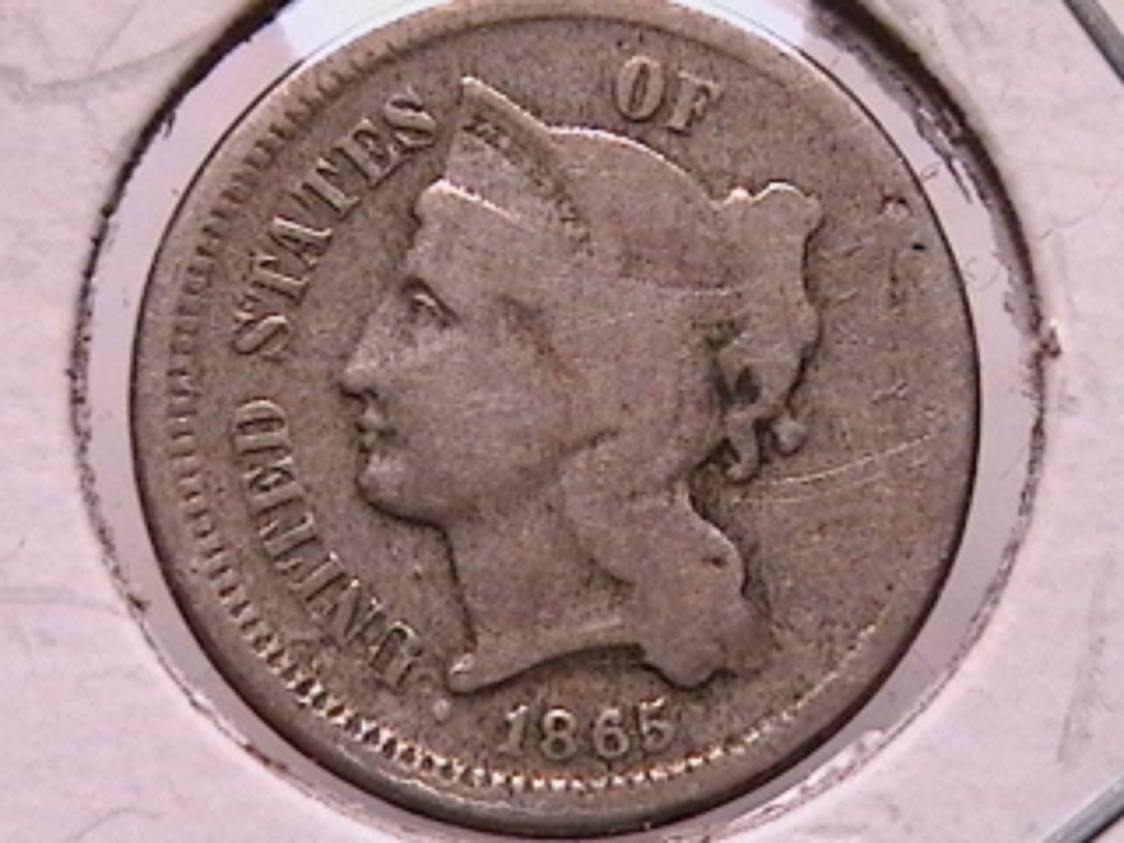 5b.jpg